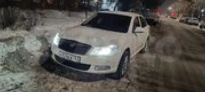Фото к отзыву — Млый Меченосец