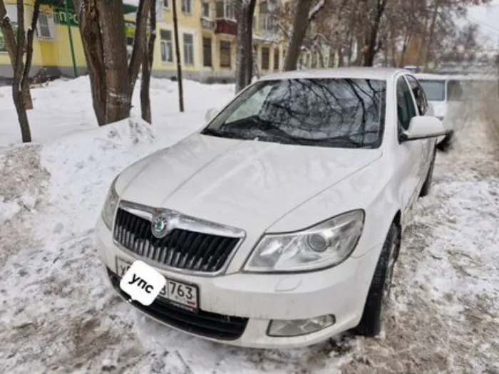 Фото к отзыву — Млый Меченосец